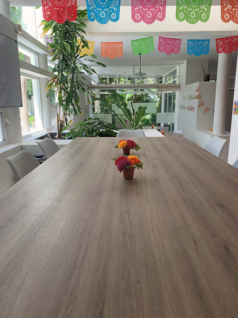 adentro de una salon de academia conari