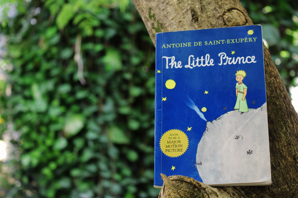 el libro del principito en un arbol